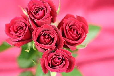 花言葉 花好ギフトフラワーズ 花言葉 花好ギフトフラワーズ